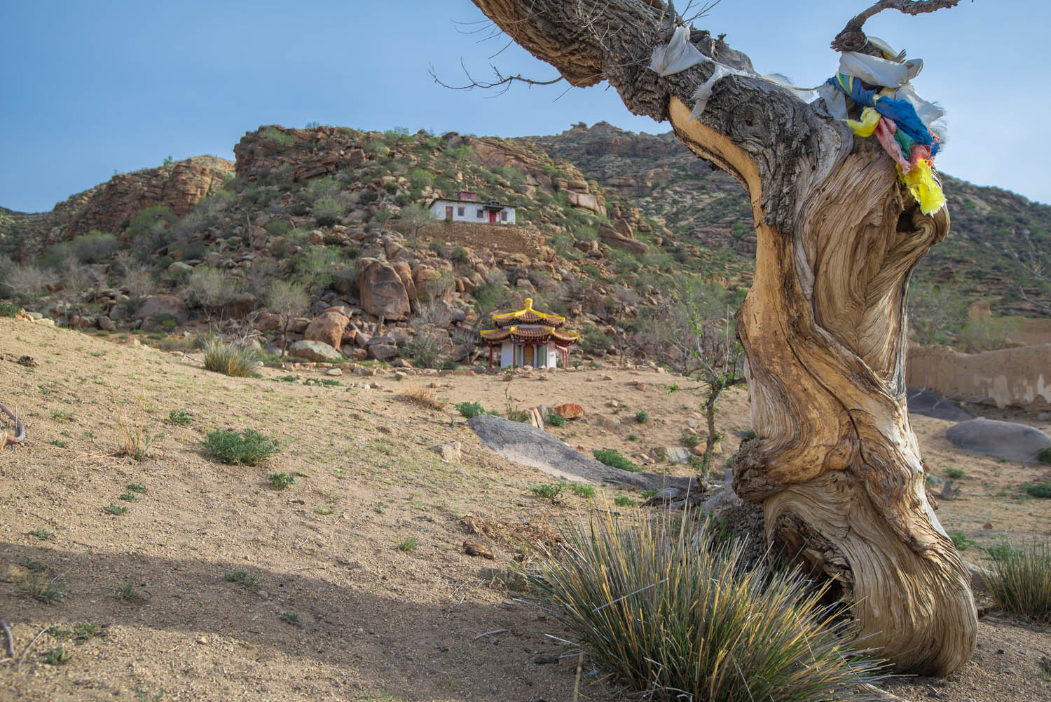 Mt. Khugnu Khan National Park