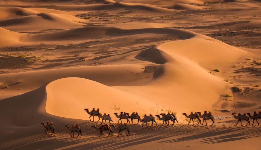 Khongor Sand Dunes