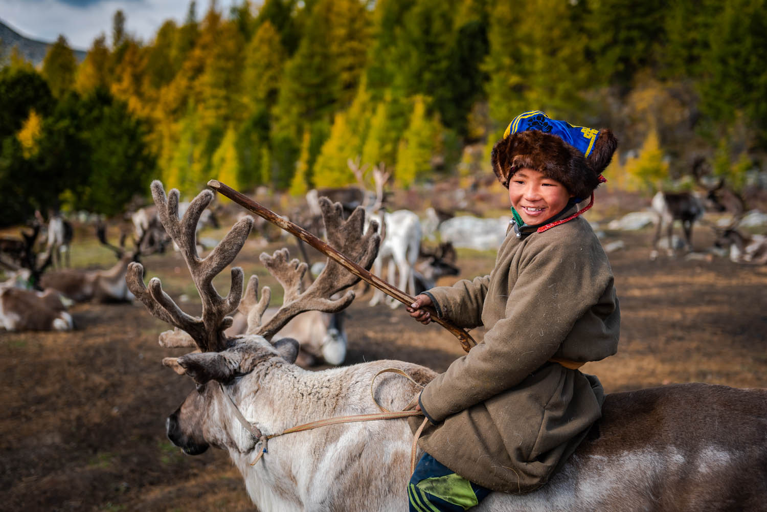 Go Discover Mongolia