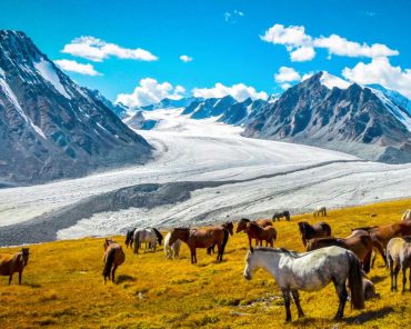 Mt. Altai Tavan Bogd National Park