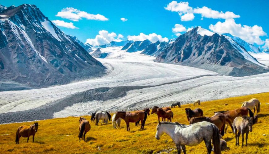 Mt. Altai Tavan Bogd National Park