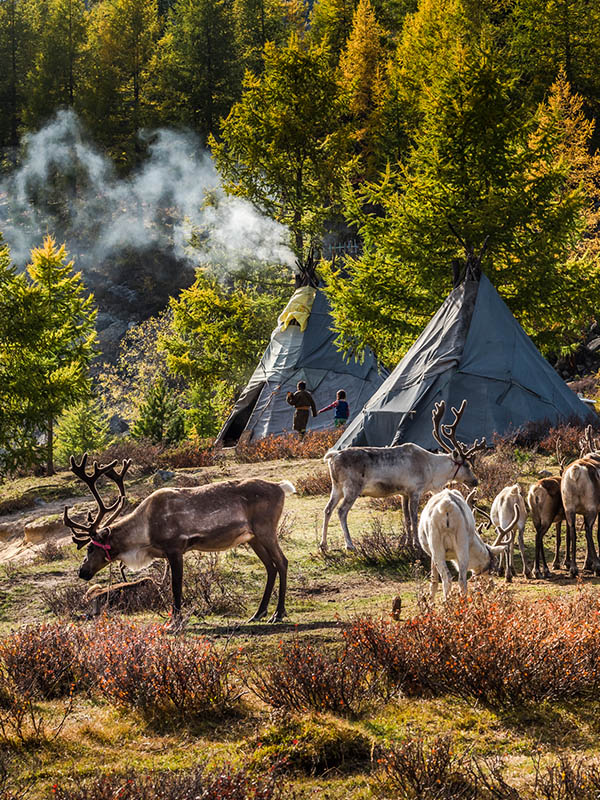 Go Discover Mongolia