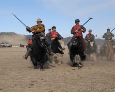 Mongolian Yak Festival