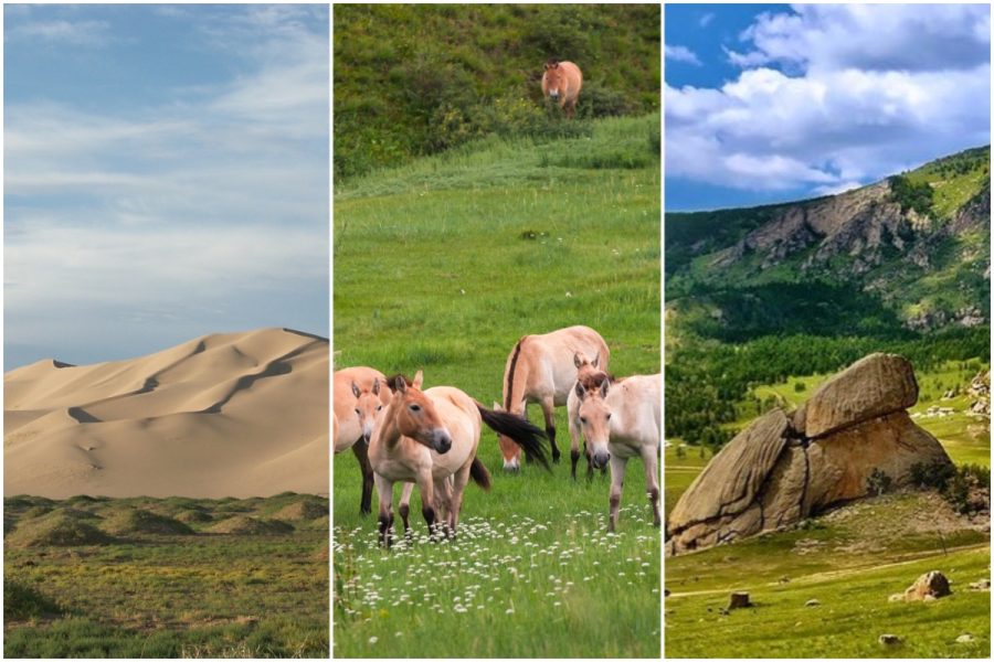 Elsen Tasarkhai + Khustai Park + Terelj National Park (4 Days)